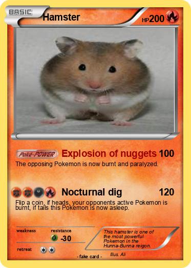 Pokemon Hamster