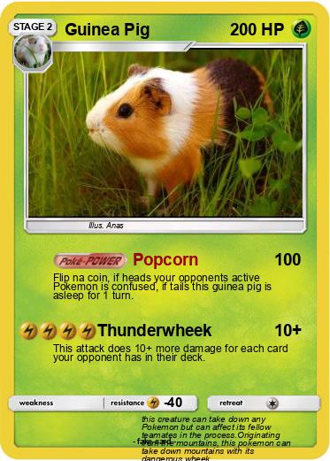 Pokemon Guinea Pig