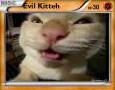 Evil Kitteh