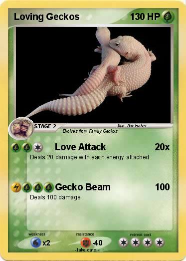 Pokemon Loving Geckos