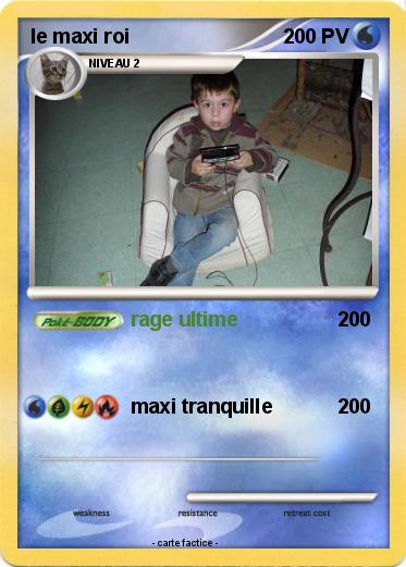 Pokemon le maxi roi