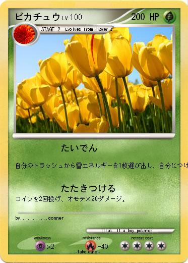 Pokemon ピカチュウ