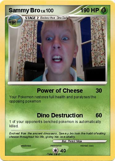 Pokemon Sammy Bro