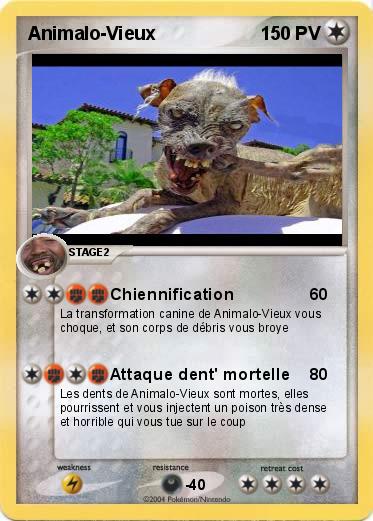 Pokemon Animalo-Vieux
