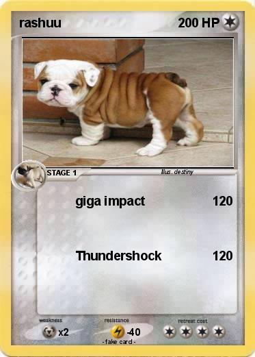 Pokemon rashuu