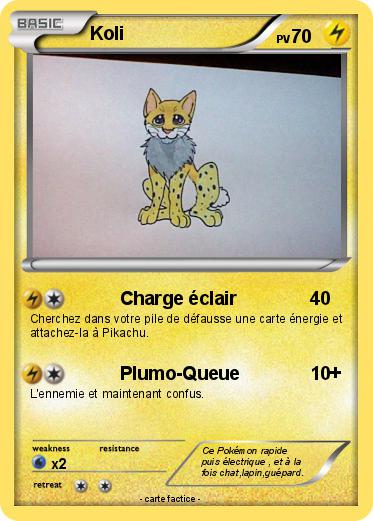 Pokemon Koli