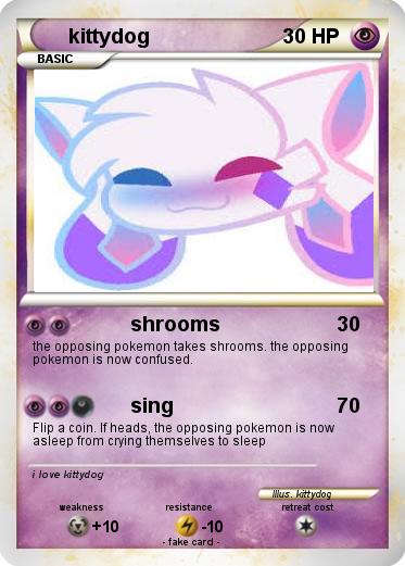 Pokemon kittydog