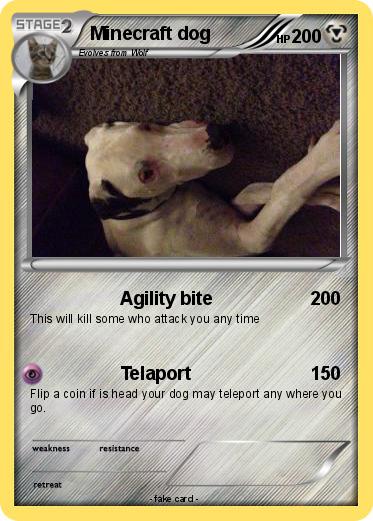 Pokemon Minecraft dog
