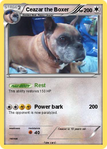 Pokemon Ceazar the Boxer