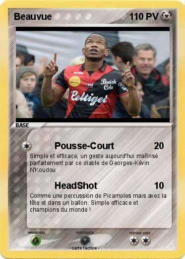 Pokemon Beauvue