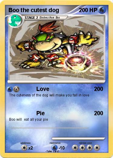 Pokemon Boo the cutest dog