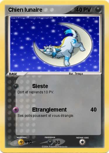 Pokemon Chien lunaire