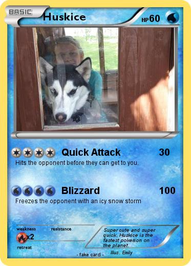 Pokemon Huskice