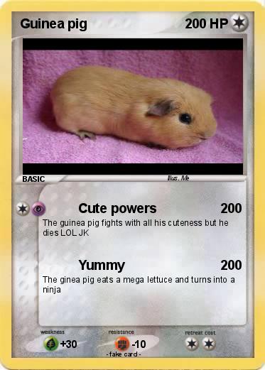 Pokemon Guinea pig