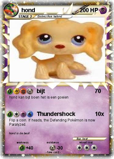 Pokemon hond