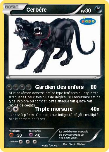 Pokemon Cerbère