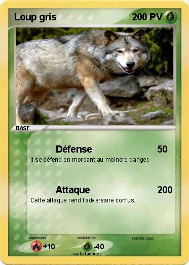 Pokemon Loup gris