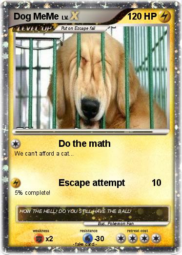 Pokemon Dog MeMe