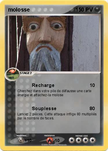 Pokemon molosse