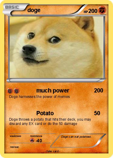 Pokemon doge