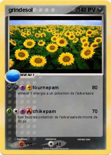Pokemon grindesol
