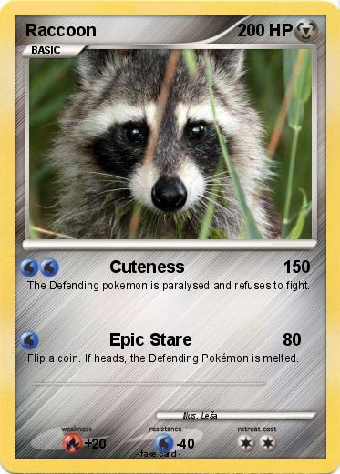 Pokemon Raccoon
