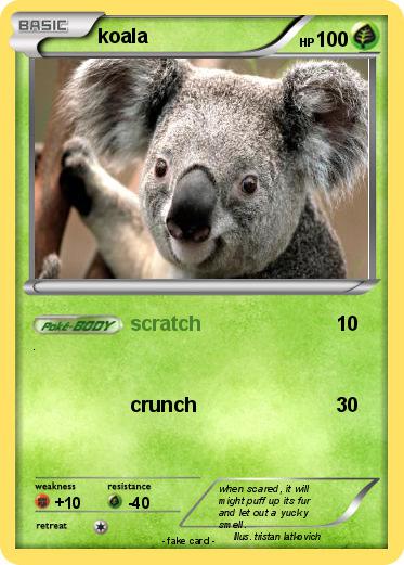 Pokemon koala