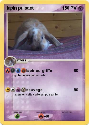 Pokemon lapin puisant 