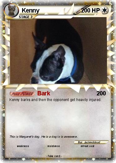 Pokemon Kenny