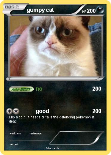 Pokemon gumpy cat