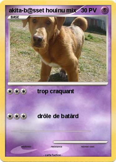 Pokemon akita-b@sset houinu mix