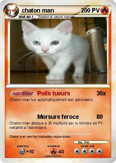Pokemon chaton man