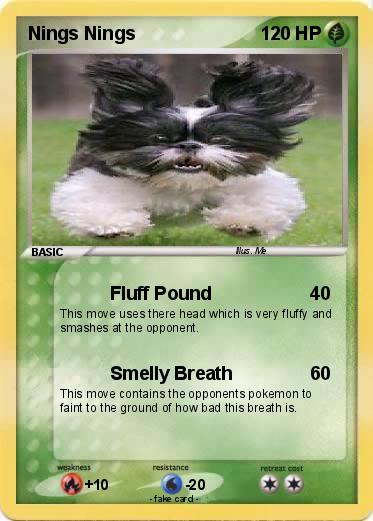Pokemon Nings Nings