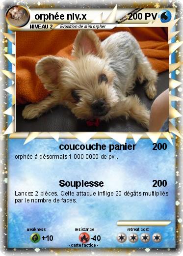 Pokemon orphée niv.x
