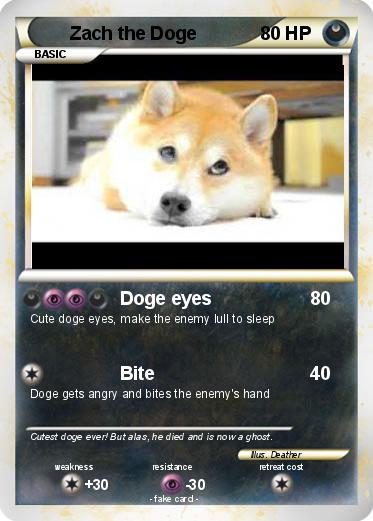 Pokemon Zach the Doge