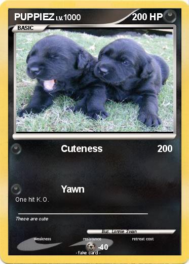 Pokemon PUPPIEZ