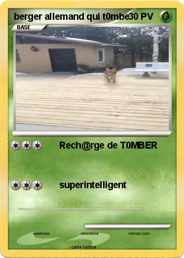 Pokemon berger allemand qui t0mbe