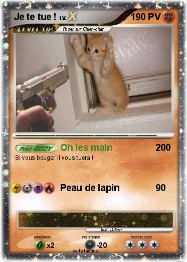 Pokemon Je te tue !