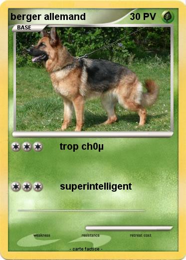Pokemon berger allemand
