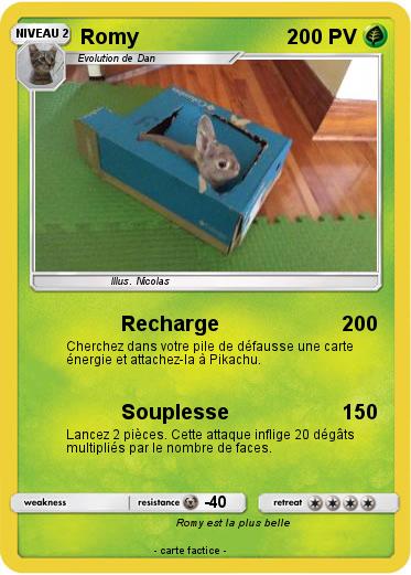 Pokemon Romy