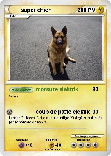 Pokemon super chien