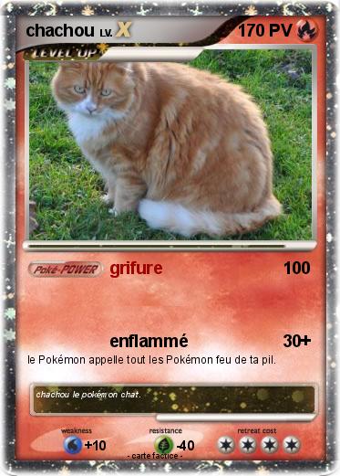 Pokemon chachou