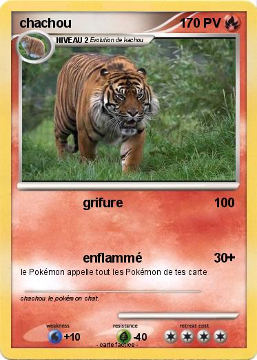 Pokemon chachou