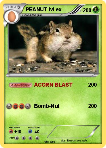 Pokemon PEANUT lvl ex