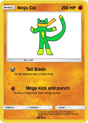 Pokemon Ninja Cat