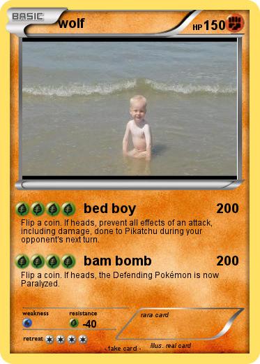 Pokemon wolf