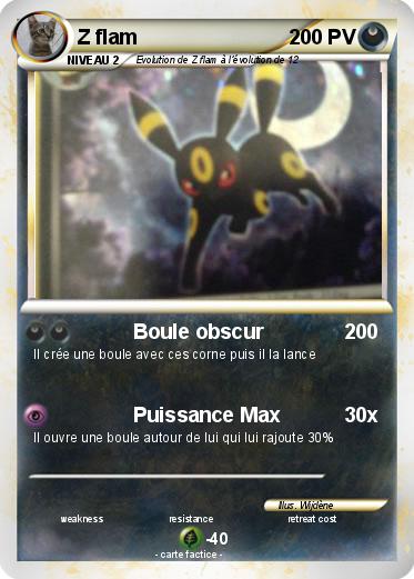 Pokemon Z flam