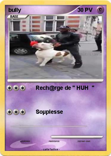 Pokemon bully