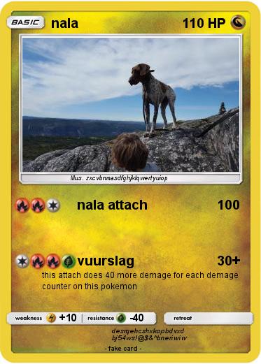 Pokemon nala