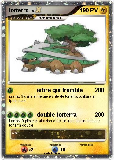 Pokemon torterra
